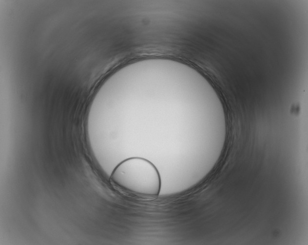 X0000111230264200907021031