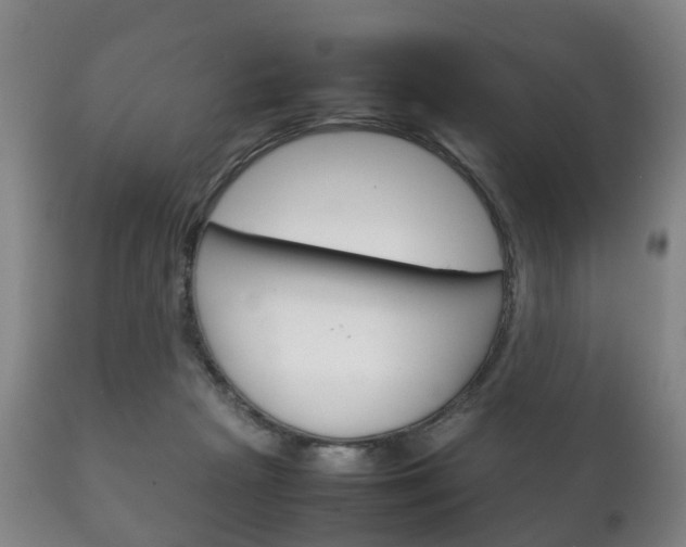 X0000111230265200907021031