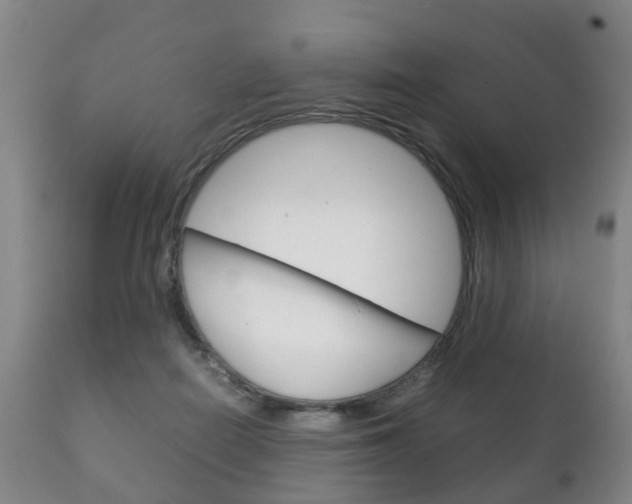 X0000111230266200907021031