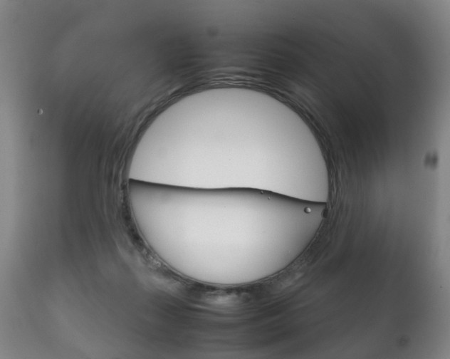 X0000111230267200907021031
