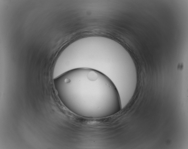 X0000111230268200907021031