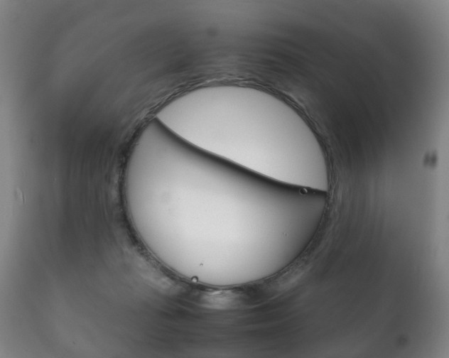 X0000111230269200907021031