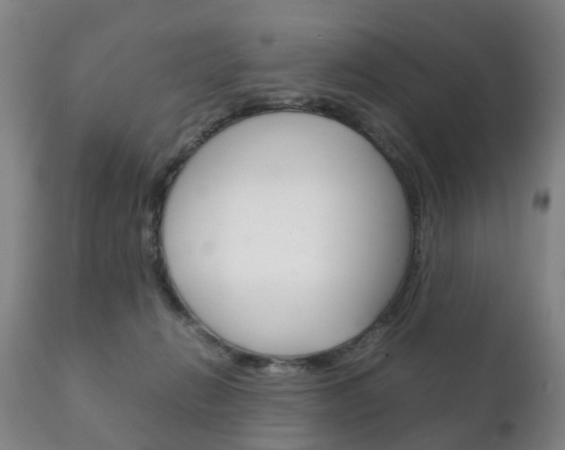 X0000111230270200907021031