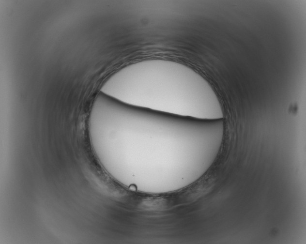 X0000111230271200907021031