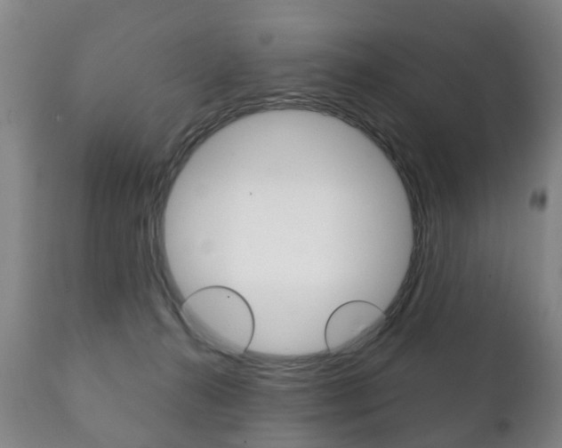 X0000111230272200907021031