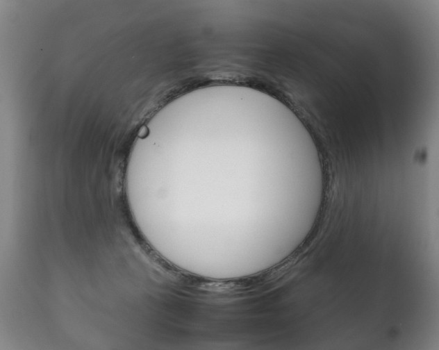 X0000111230273200907021031