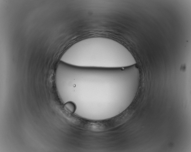 X0000111230275200907021031