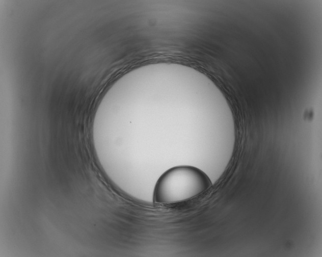 X0000111230276200907021031