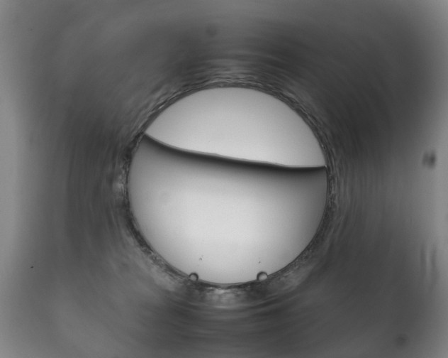 X0000111230277200907021031