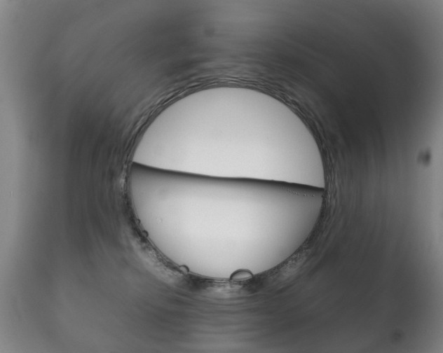 X0000111230278200907021031