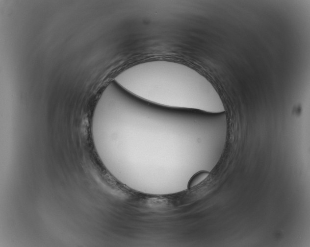 X0000111230279200907021031