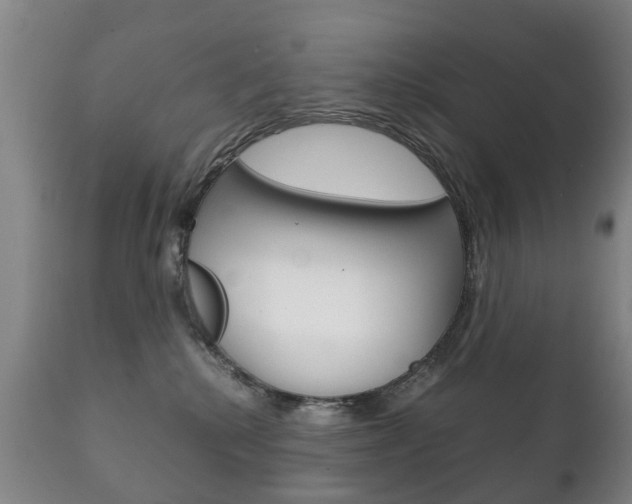 X0000111230280200907021031