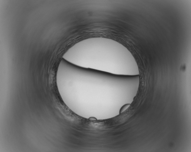 X0000111230283200907021031