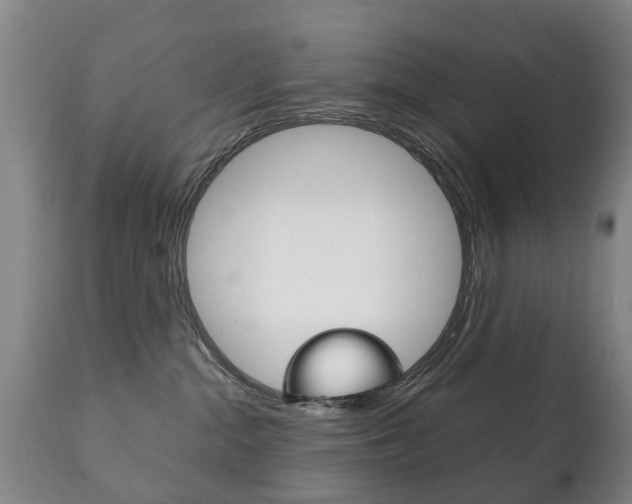 X0000111230284200907021031