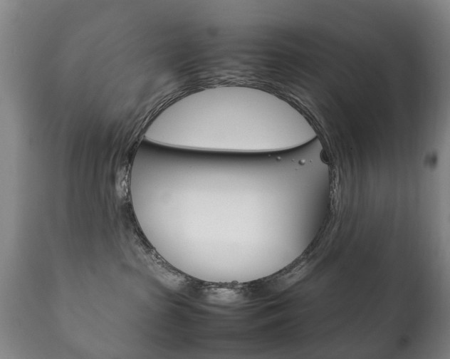 X0000111230285200907021031