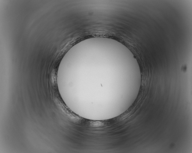 X0000111230287200907021031