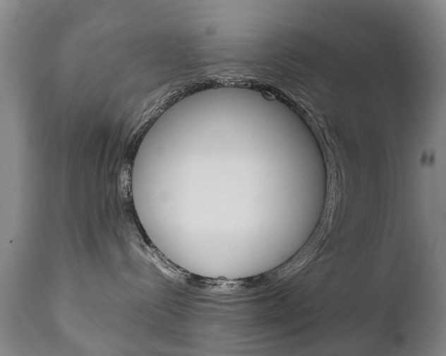 X0000111230288200907021031