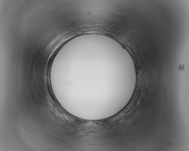 X0000111230290200907021030