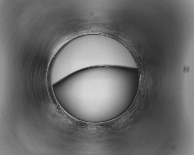 X0000111230292200907021030