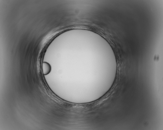X0000111230294200907021030