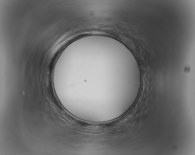 X0000111230295200907021030