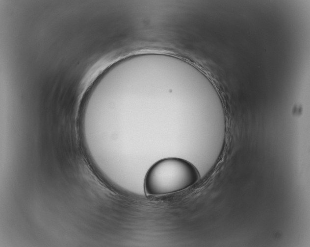 X0000111230296200907021030