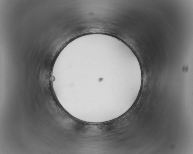 X0000111230297200907021030