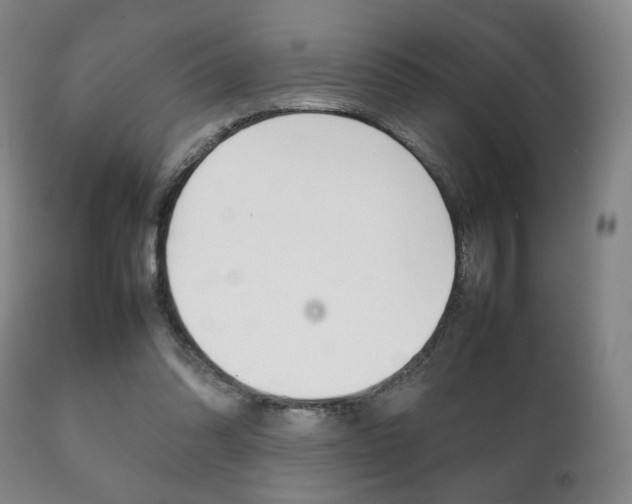 X0000111230302200907021030