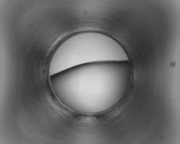 X0000111230304200907021030