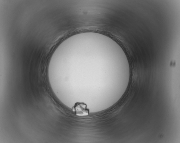 X0000111230308200907021030