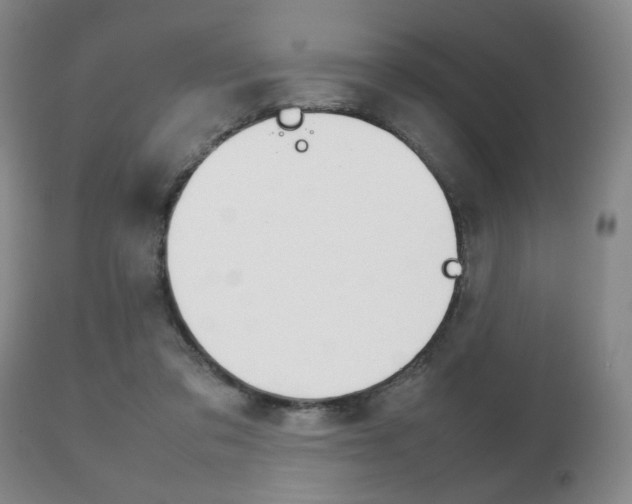 X0000111230309200907021030