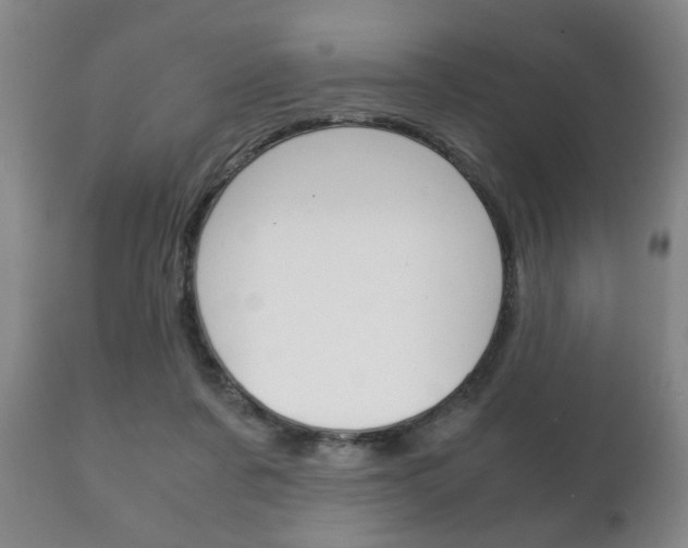 X0000111230311200907021030
