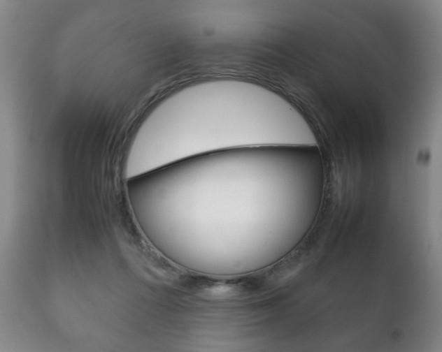 X0000111230312200907021030