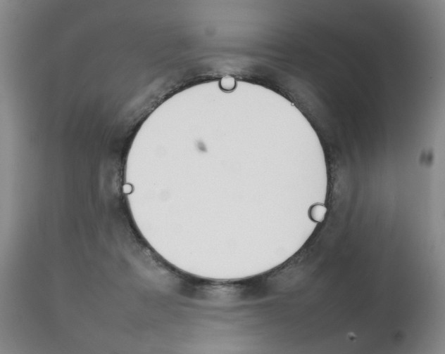 X0000111230313200907021030