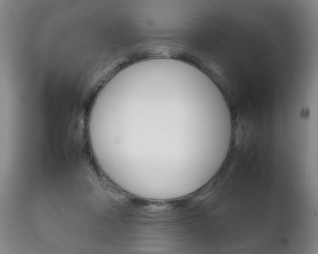 X0000111230314200907021030