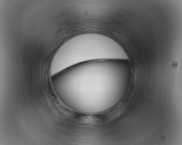 X0000111230316200907021030
