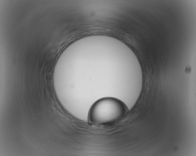 X0000111230317200907021030