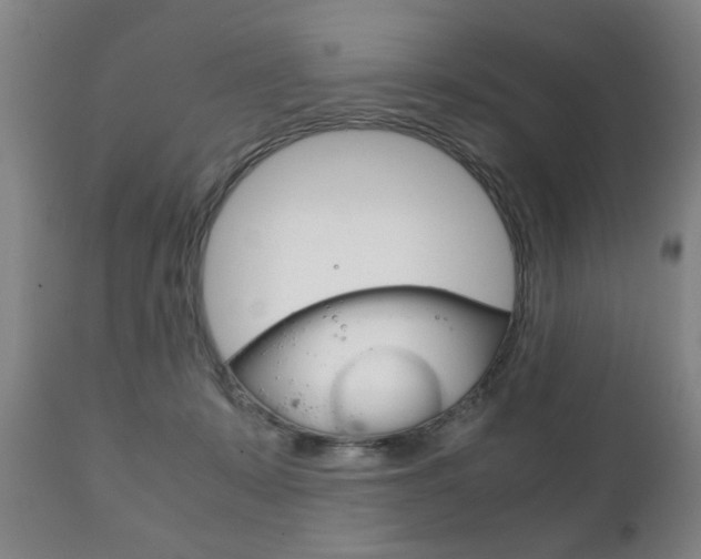 X0000111230319200907021030