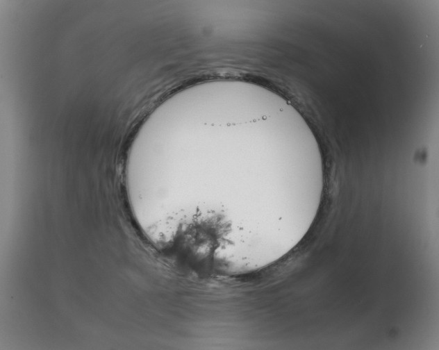 X0000111230321200907021030