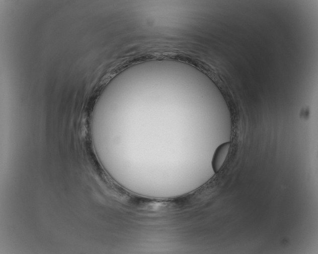 X0000111230323200907021030