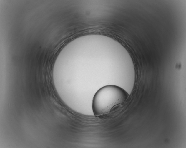 X0000111230324200907021030