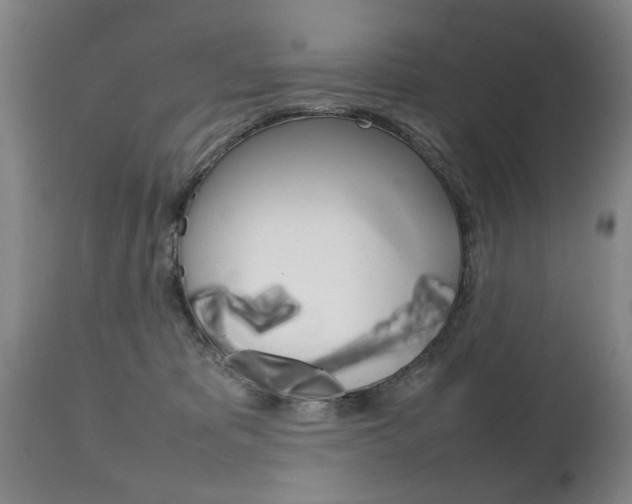 X0000111230325200907021030