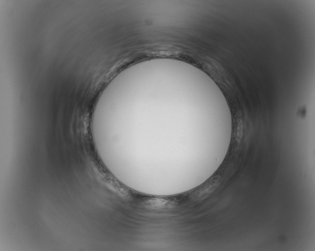 X0000111230326200907021030