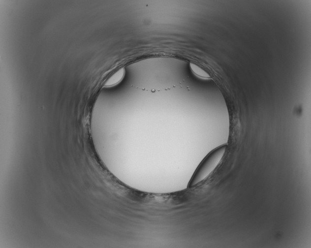 X0000111230329200907021030