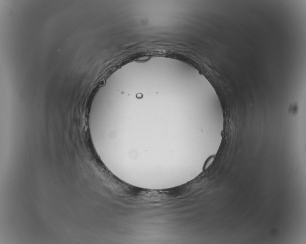X0000111230331200907021030
