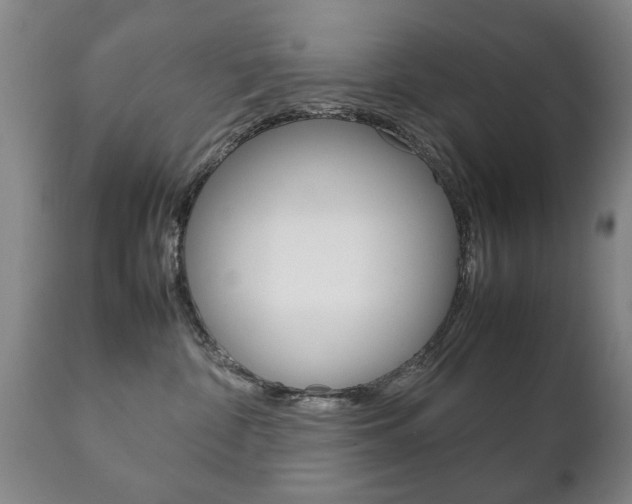 X0000111230332200907021030