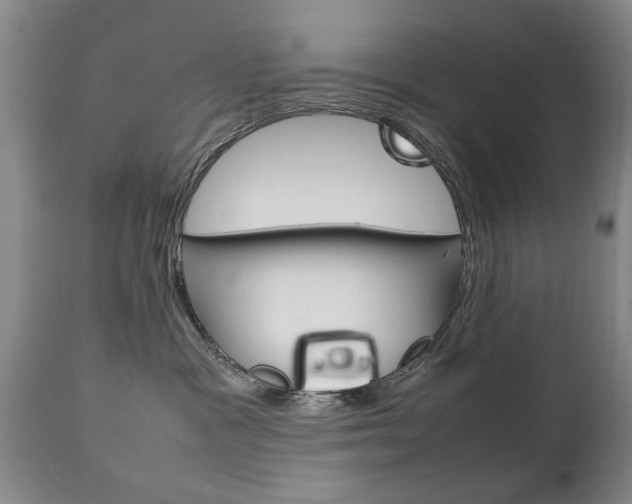 X0000111230333200907021030