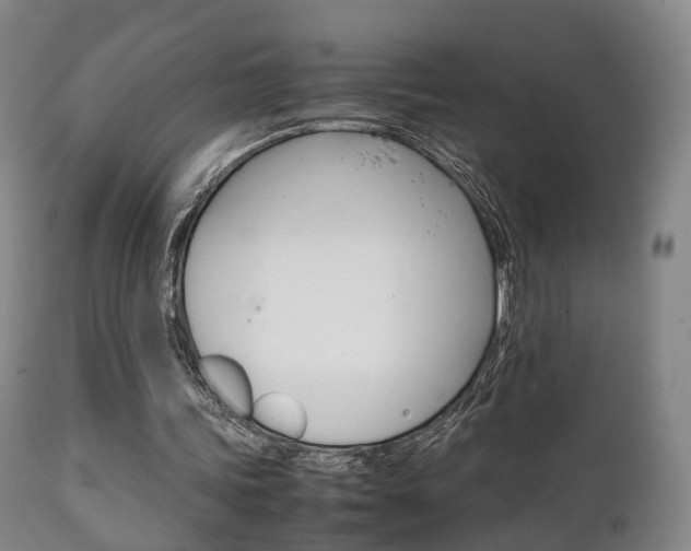 X0000111230339200907021029