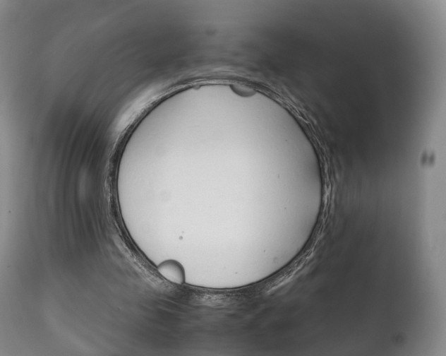 X0000111230341200907021029