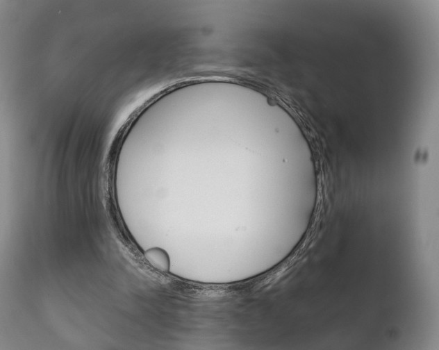 X0000111230342200907021029
